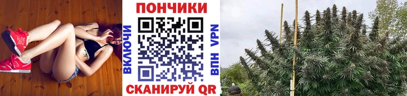Цена Власиха Кокаин Марихуана АМФЕТАМИН ГАШИШ Меф Alpha PVP