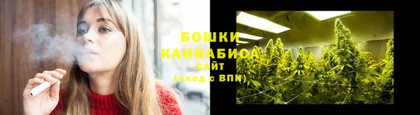PSILOCYBIN Алексин