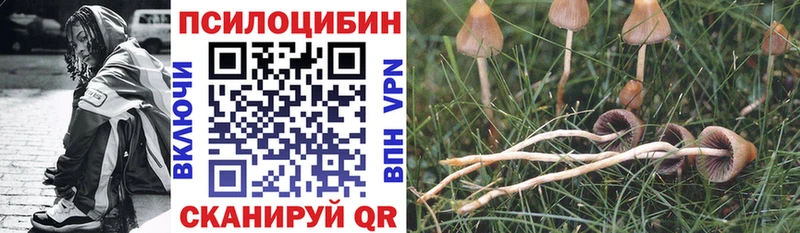 Псилоцибиновые грибы мухоморы  Власиха 